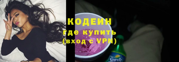 ПСИЛОЦИБИНОВЫЕ ГРИБЫ Арсеньев