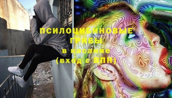 ПСИЛОЦИБИНОВЫЕ ГРИБЫ Арсеньев