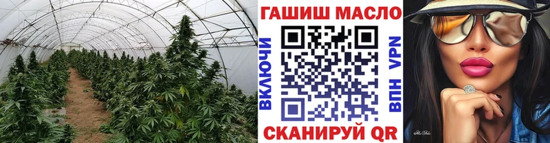 как найти закладки  Луга  ТГК гашишное масло 