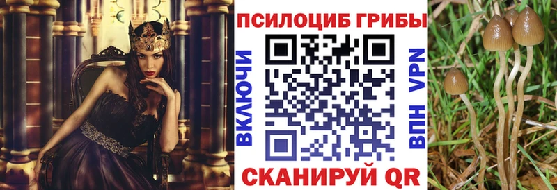 Псилоцибиновые грибы прущие грибы  Луга 